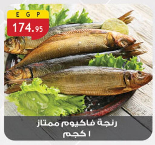 available at الرايه  ماركت in Egypt - القاهرة