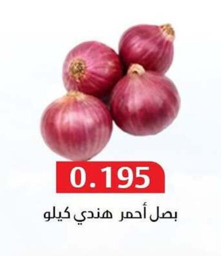 Onion available at Al Masayel co-op  in Kuwait - Ahmadi Governorate