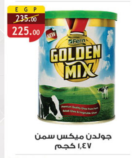 FERN available at Al Rayah Market   in Egypt - Cairo
