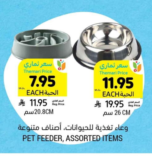 Pets in Tamimi Market, Saudi Arabia Offers - Saudi Arabia available at Tamimi Market in KSA, Saudi Arabia, Saudi - Ar Rass