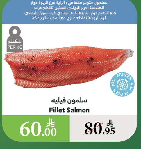 الأسماك الطازجة in الراية, المملكة العربية السعودية Offers - المملكة العربية السعودية available at الراية in مملكة العربية السعودية, السعودية, سعودية - خميس مشيط