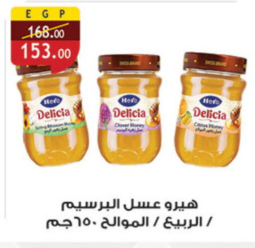 Sauces & Spreads in Al Rayah Market , Egypt Offers - Egypt Honey available at Al Rayah Market in Egypt - Cairo