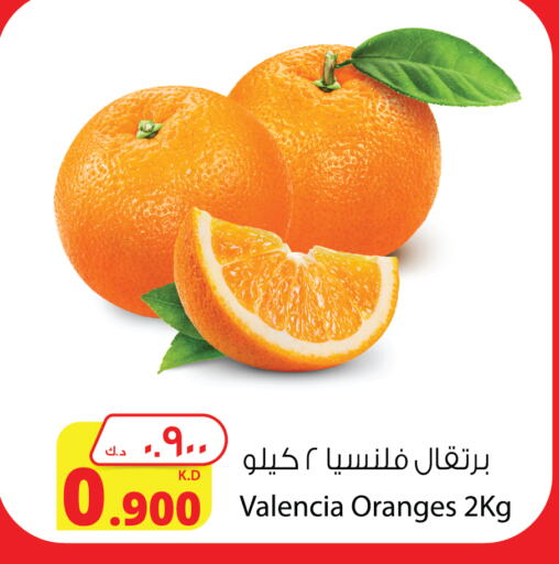 Orange available at Agricultural Food Products Co. in Kuwait - Jahra Governorate