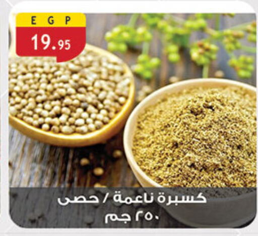 Salts, Spices & Paste in Al Rayah Market , Egypt Offers - Egypt Spices available at Al Rayah Market in Egypt - Cairo
