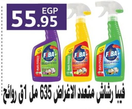 Cleaning in Othaim Market , Egypt Offers - Egypt General Cleaner available at Othaim Market in Egypt - Cairo