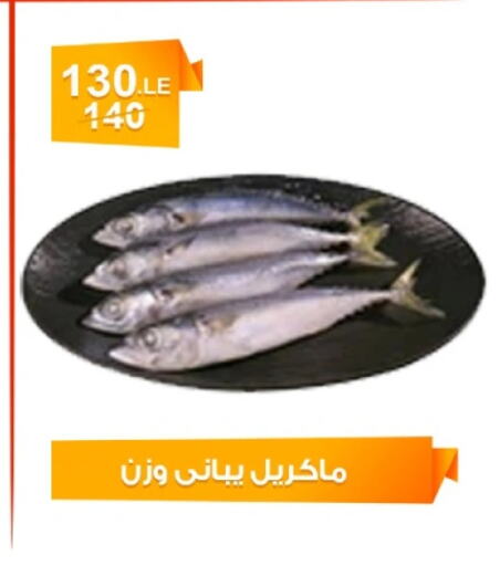 available at Hyper Meeza Egypt  in Egypt - Cairo