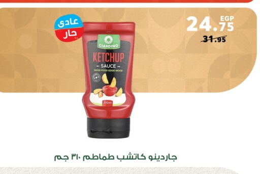 Sauces & Spreads in Panda , Egypt Offers - Egypt Tomato Ketchup available at Panda in Egypt - Cairo