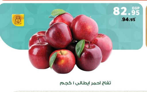 تفاح available at بنده in Egypt - القاهرة