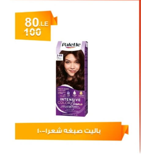 PALETTE available at Hyper Meeza Egypt  in Egypt - Cairo