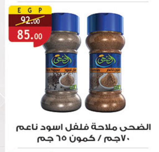 Salts, Spices & Paste in Al Rayah Market , Egypt Offers - Egypt Spices available at Al Rayah Market in Egypt - Cairo
