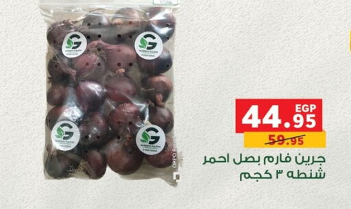 Canned & Packeted in Panda , Egypt Offers - Egypt available at Panda in Egypt - Cairo