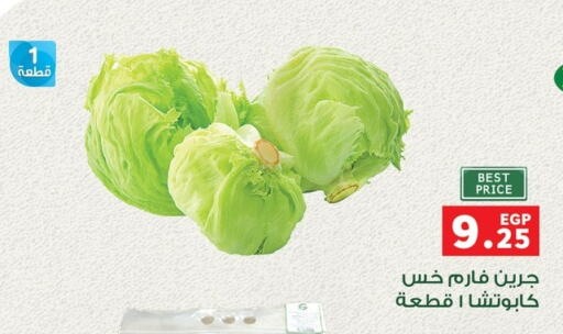 available at بنده in Egypt - القاهرة