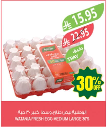 Eggs in Farm , Saudi Arabia Offers - Saudi Arabia available at Farm in KSA, Saudi Arabia, Saudi - Saihat