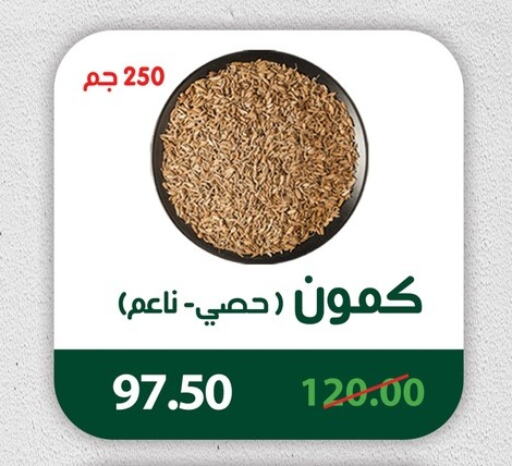 available at Panda  in Egypt - Cairo