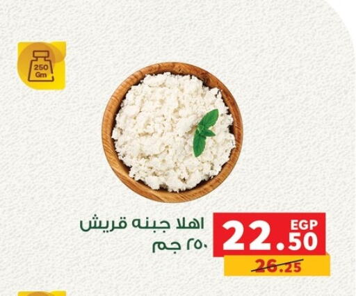 available at بنده in Egypt - القاهرة