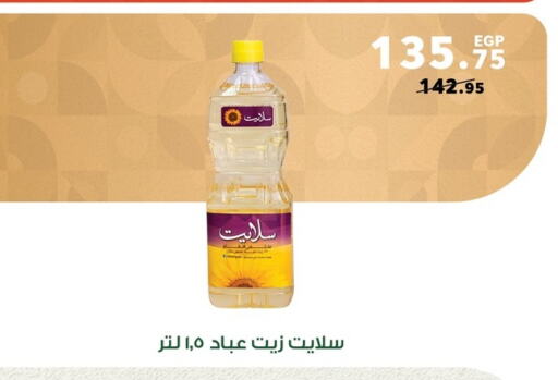 available at Panda  in Egypt - Cairo