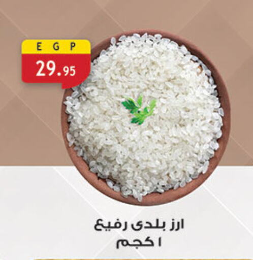 Rice in Al Rayah Market , Egypt Offers - Egypt available at Al Rayah Market in Egypt - Cairo