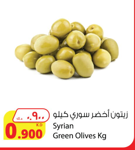 available at Agricultural Food Products Co. in Kuwait - Jahra Governorate