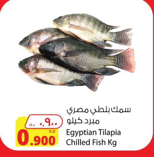 available at Agricultural Food Products Co. in Kuwait - Ahmadi Governorate