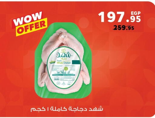 دجاج كامل طازج available at بنده in Egypt - القاهرة