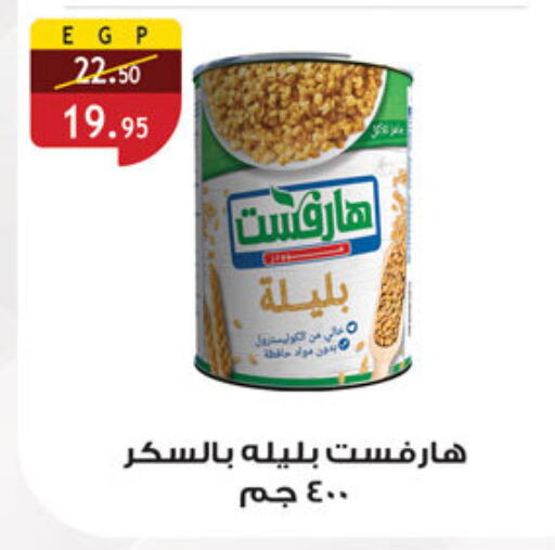 Canned & Packeted in Al Rayah Market , Egypt Offers - Egypt available at Al Rayah Market in Egypt - Cairo