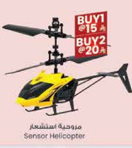 available at City Flower in KSA, Saudi Arabia, Saudi - Hail