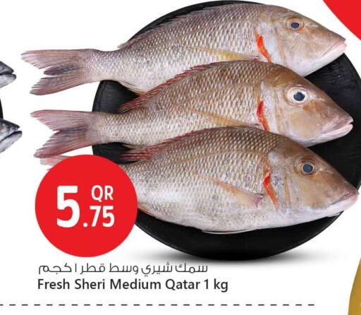 available at Safari Hypermarket in Qatar - Doha