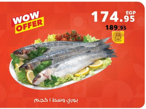 available at Panda  in Egypt - Cairo