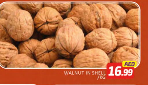 available at Al Madina  in UAE - Dubai