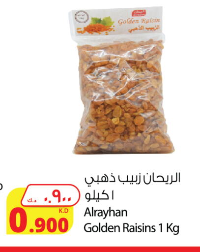 available at Agricultural Food Products Co. in Kuwait - Jahra Governorate