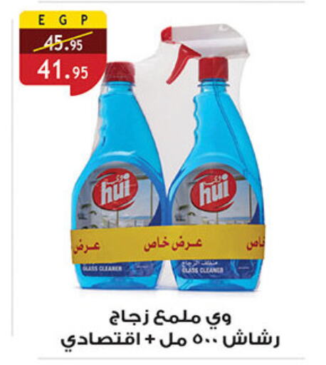 Glass Cleaner available at Al Rayah Market   in Egypt - Cairo