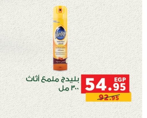 PLEDGE General Cleaner available at Panda  in Egypt - Cairo
