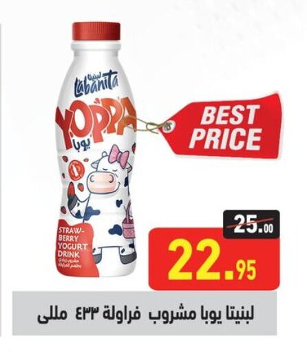 Yogurt & Labneh in Othaim Market , Egypt Offers - Egypt Yoghurt available at Othaim Market in Egypt - Cairo