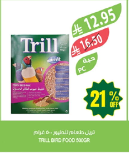 الحيوانات الأليفة in المزرعة, المملكة العربية السعودية Offers - المملكة العربية السعودية available at المزرعة in مملكة العربية السعودية, السعودية, سعودية - الباحة