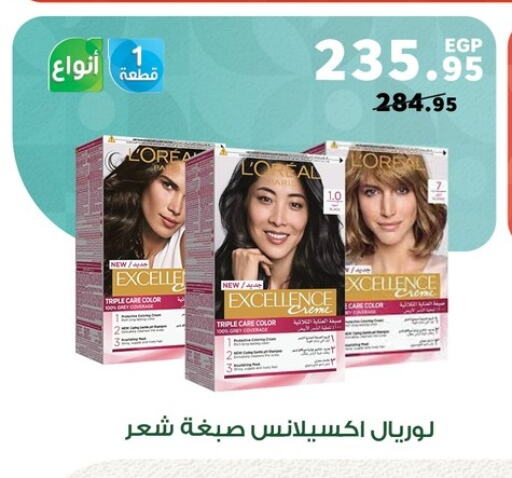 لوريل صبغة شعر available at بنده in Egypt - القاهرة