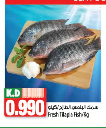 Mango available at Mango Hypermarket  in Kuwait - Ahmadi Governorate
