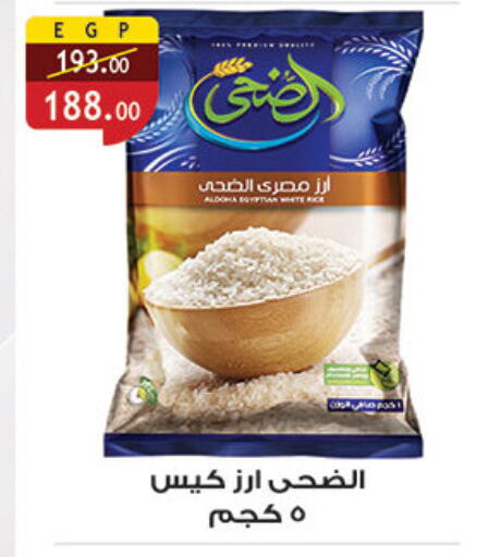Rice in Al Rayah Market , Egypt Offers - Egypt Calrose Rice available at Al Rayah Market in Egypt - Cairo