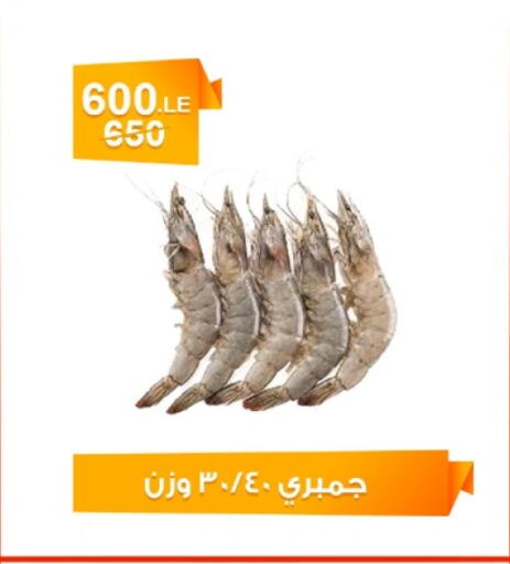 available at Hyper Meeza Egypt  in Egypt - Cairo