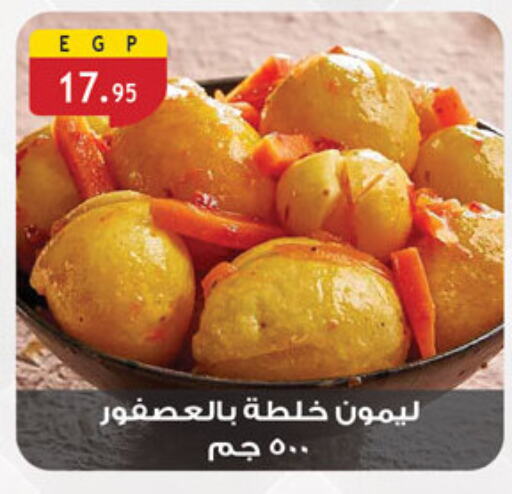 Canned & Packeted in Al Rayah Market , Egypt Offers - Egypt available at Al Rayah Market in Egypt - Cairo
