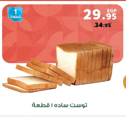 Bread & Buns in Panda , Egypt Offers - Egypt available at Panda in Egypt - Cairo