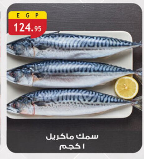 available at Al Rayah Market   in Egypt - Cairo