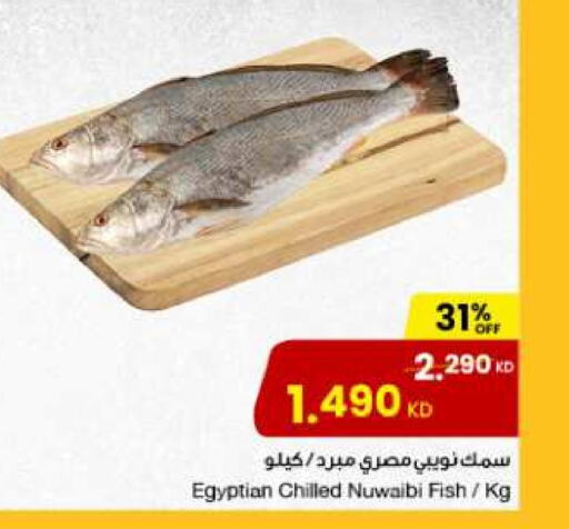 available at The Sultan Center in Kuwait - Ahmadi Governorate