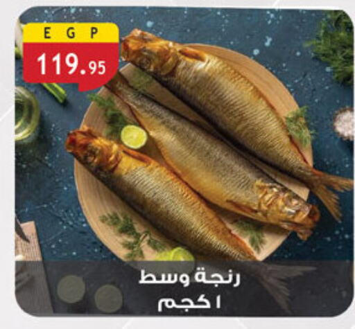 available at الرايه  ماركت in Egypt - القاهرة