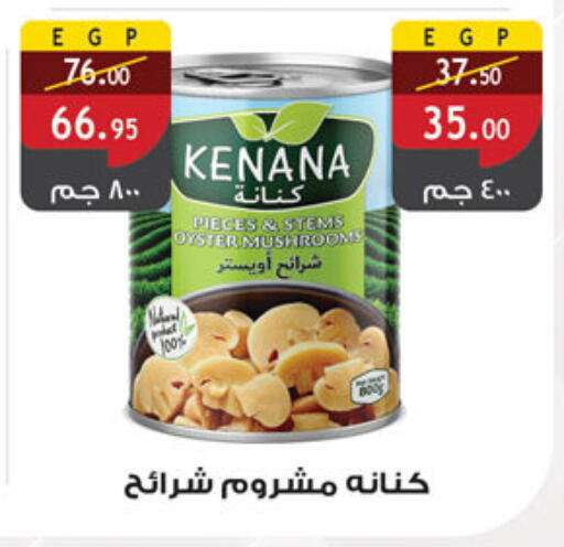 Canned & Packeted in Al Rayah Market , Egypt Offers - Egypt available at Al Rayah Market in Egypt - Cairo