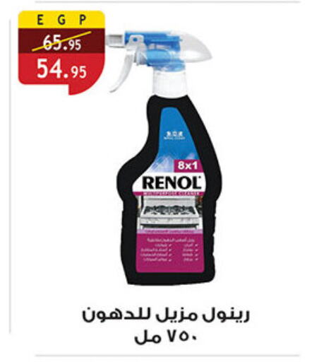 General Cleaner available at Al Rayah Market   in Egypt - Cairo