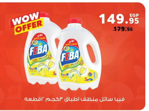 available at بنده in Egypt - القاهرة
