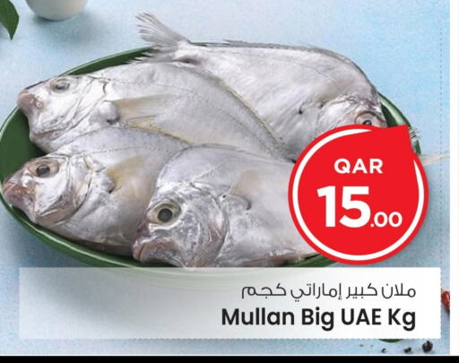 available at مارك & سيف in قطر - الريان