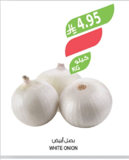 White Onion available at Farm  in KSA, Saudi Arabia, Saudi - Jeddah