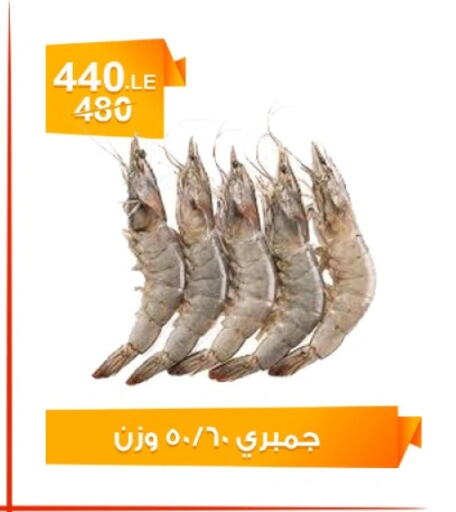 available at Hyper Meeza Egypt  in Egypt - Cairo