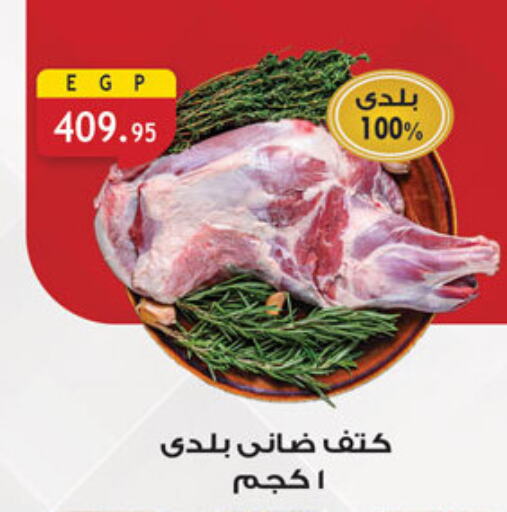 Meat - Fresh & Chilled in Al Rayah Market , Egypt Offers - Egypt available at Al Rayah Market in Egypt - Cairo